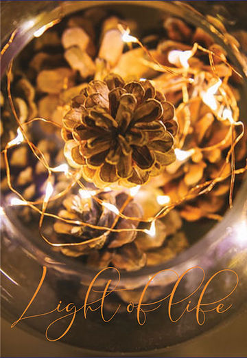 Jar of lights and pine cones with caption 'Light of life'