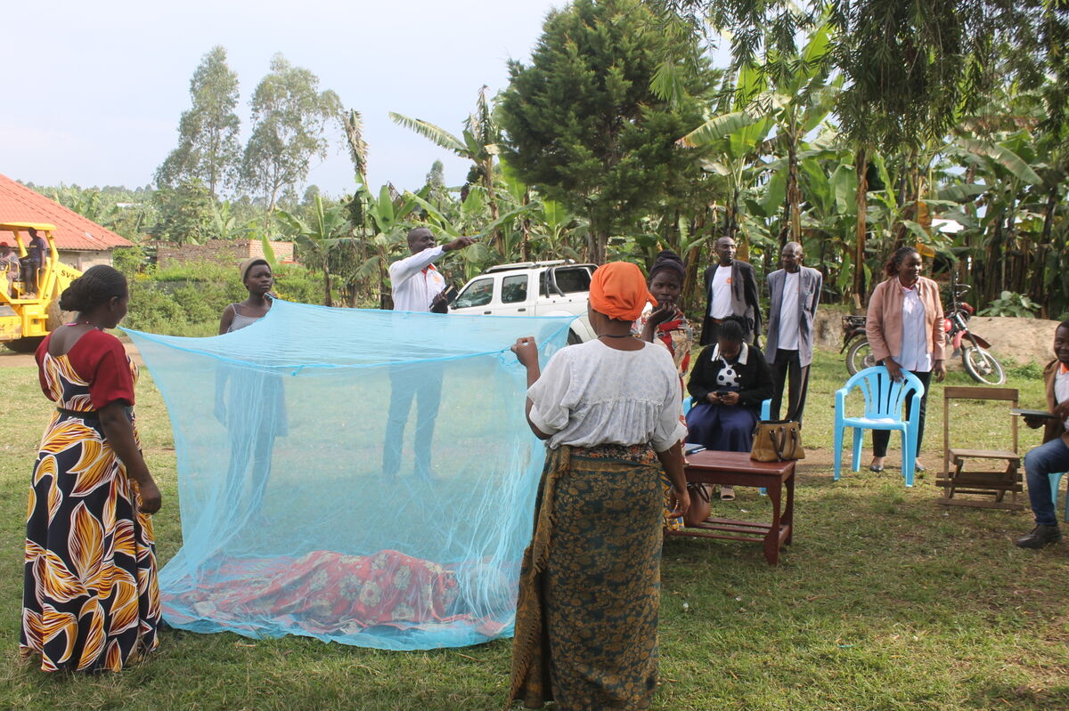 Mosquito net demonstration